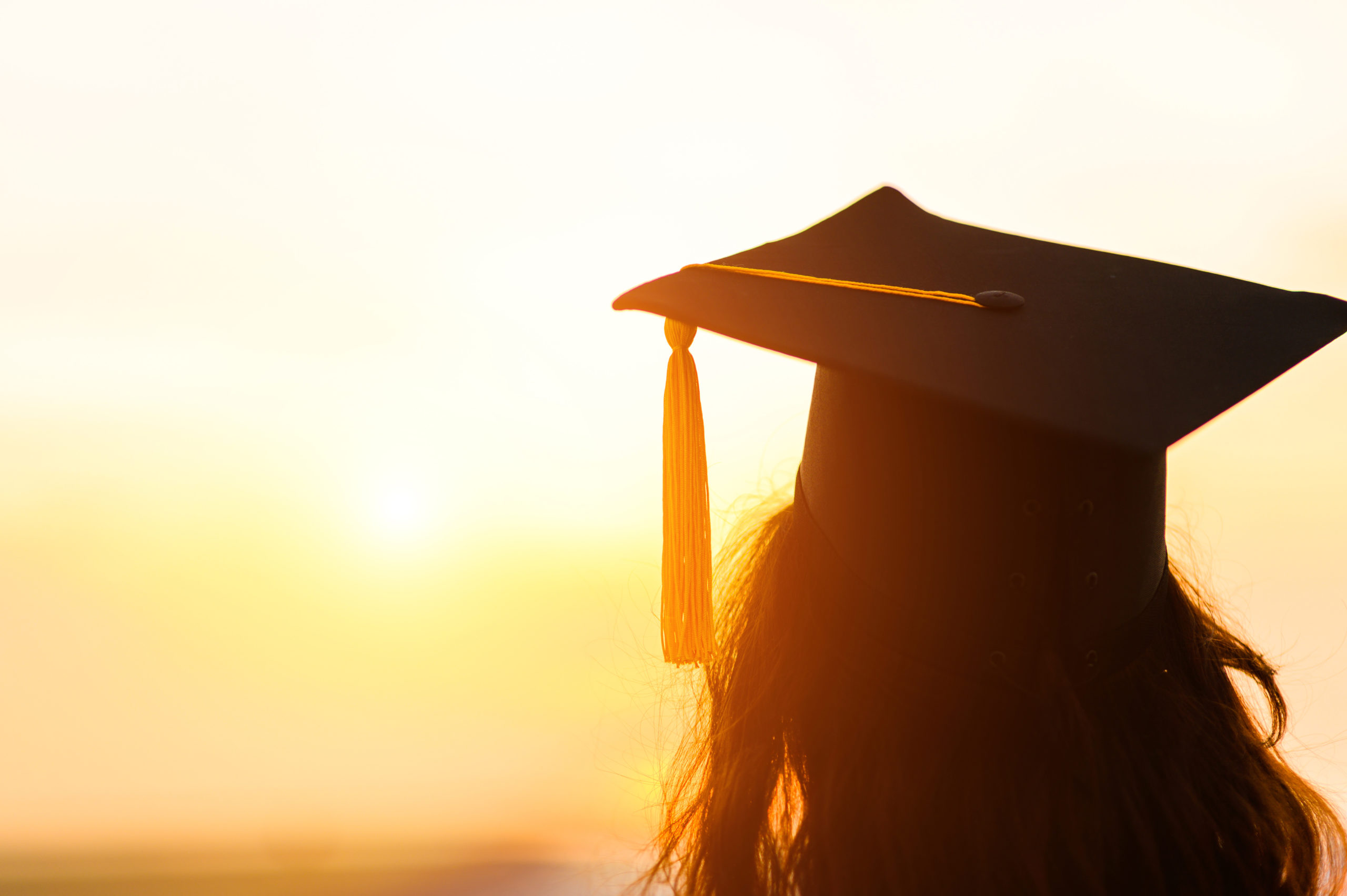 How NDO Helps Dental Students Job Hunt Effectively